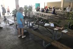 Silent auction trees