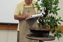 Ed Trout Bonsai Styling Demo at Club Meeting - 3