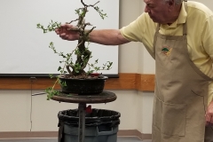 Ed Trout Bonsai Styling Demo at Club Meeting - 6