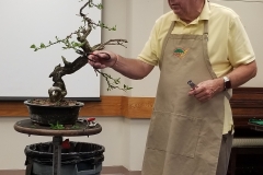 Ed Trout Bonsai Styling Demo at Club Meeting - 10