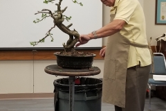 Ed Trout Bonsai Styling Demo at Club Meeting - 7