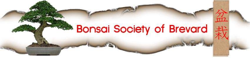 Bonsai Society of Brevard - Official Website of Bonsai Society of Brevard