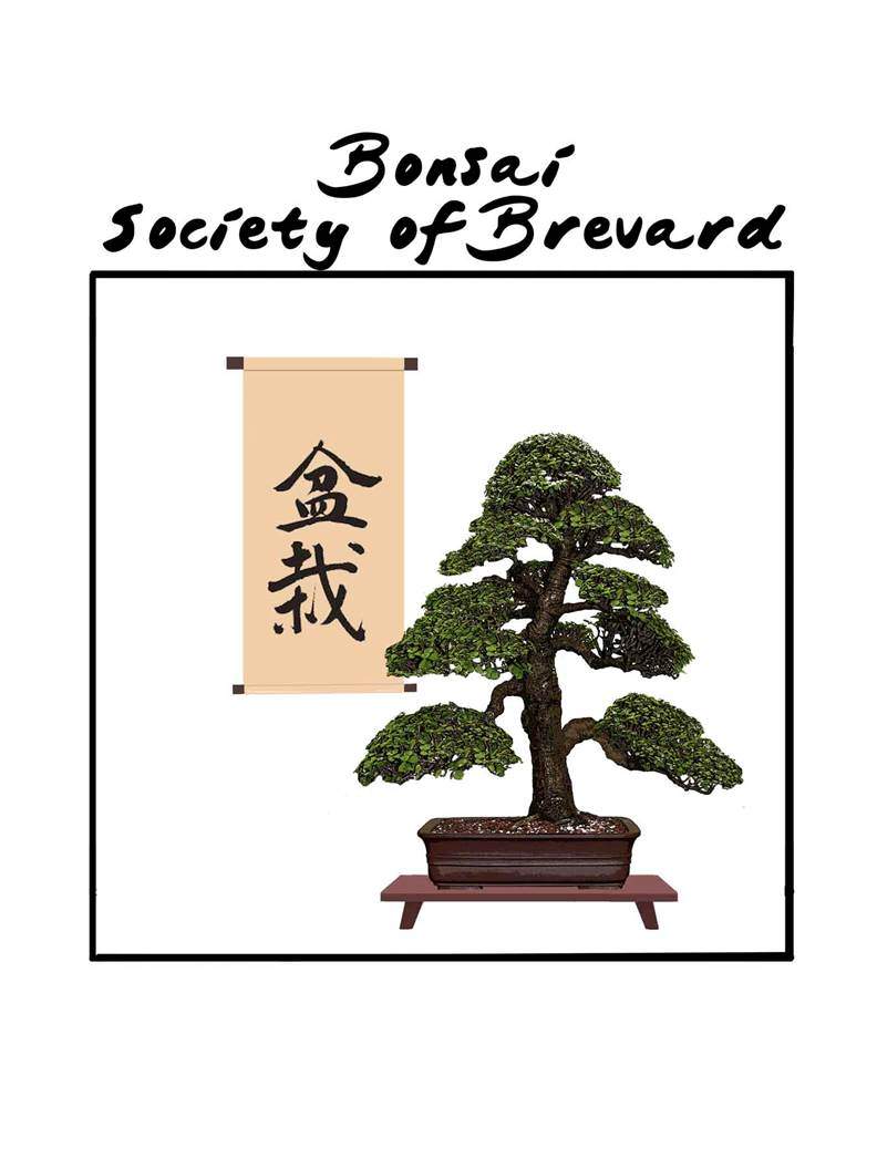 Bonsai Society of Brevard - Official Website of Bonsai Society of Brevard