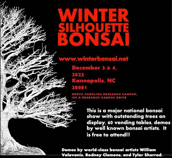 Winter Silhouette Bonsai Show Dec 2022